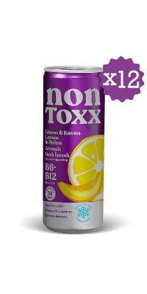 NON TOXX Limon & Kavun Aromalı Sirkeli Gazlı İçecek 250 ml x 12 Adet (Koli) resmi