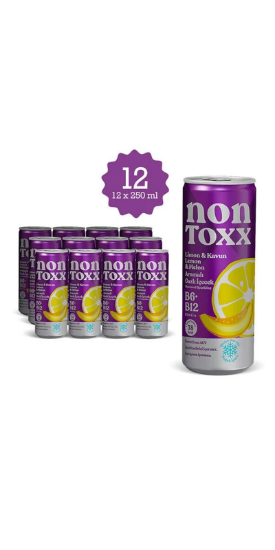 NON TOXX Limon & Kavun Aromalı Sirkeli Gazlı İçecek 250 ml x 12 Adet (Koli) resmi