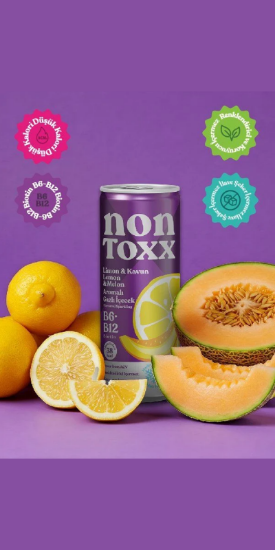 NON TOXX Limon & Kavun Aromalı Sirkeli Gazlı İçecek 250 ml x 12 Adet (Koli) resmi