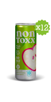 NON TOXX Elmalı Sirkeli Gazlı İçecek 250 ml x 12 Adet (Koli) resmi