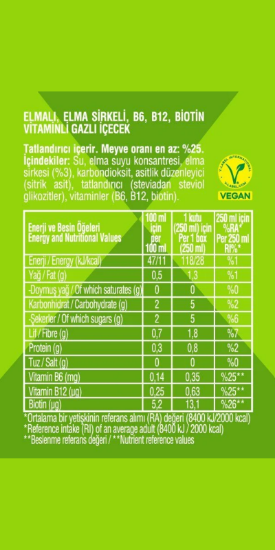 NON TOXX Elmalı Sirkeli Gazlı İçecek 250 ml x 12 Adet (Koli) resmi