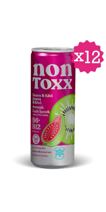 NON TOXX Guava & Kivi Aromalı Sirkeli Gazlı İçecek 250 ml x 12 Adet (Koli) resmi