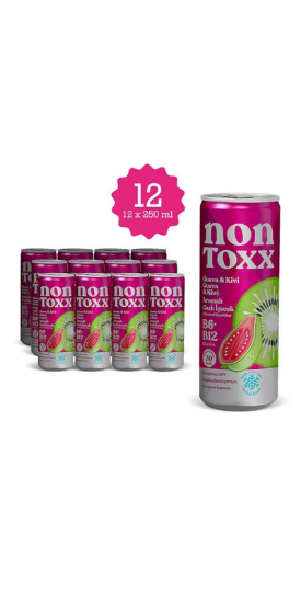 NON TOXX Guava & Kivi Aromalı Sirkeli Gazlı İçecek 250 ml x 12 Adet (Koli) resmi