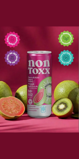 NON TOXX Guava & Kivi Aromalı Sirkeli Gazlı İçecek 250 ml x 12 Adet (Koli) resmi