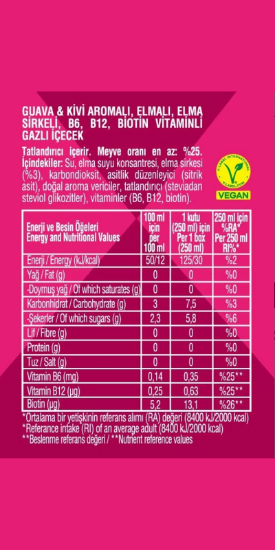 NON TOXX Guava & Kivi Aromalı Sirkeli Gazlı İçecek 250 ml x 12 Adet (Koli) resmi
