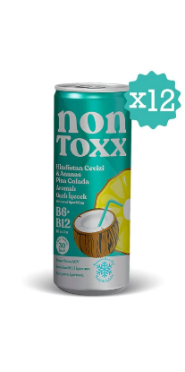 NON TOXX Hindistan Cevizi & Ananas Aromalı Sirkeli Gazlı İçecek 250 ml x 12 Adet (Koli) resmi