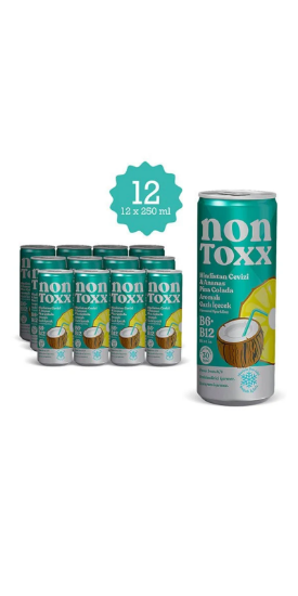 NON TOXX Hindistan Cevizi & Ananas Aromalı Sirkeli Gazlı İçecek 250 ml x 12 Adet (Koli) resmi