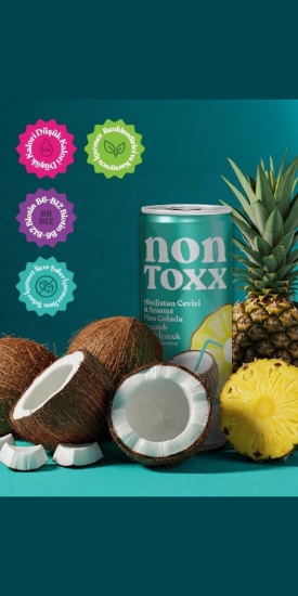 NON TOXX Hindistan Cevizi & Ananas Aromalı Sirkeli Gazlı İçecek 250 ml x 12 Adet (Koli) resmi