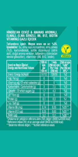 NON TOXX Hindistan Cevizi & Ananas Aromalı Sirkeli Gazlı İçecek 250 ml x 12 Adet (Koli) resmi